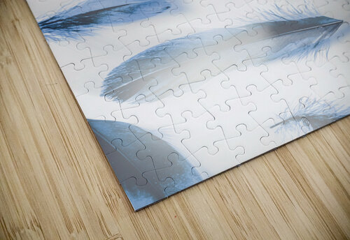 Light as Jorgo puzzle