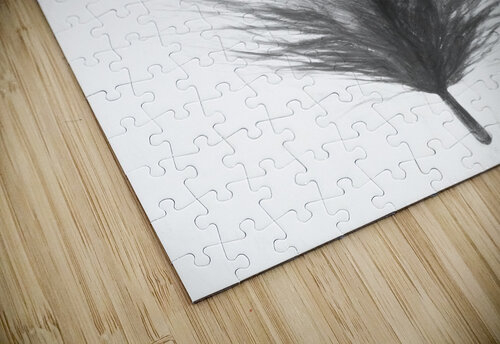 Pencil plume Jorgo puzzle