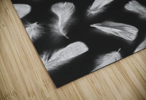 Fluff and feather Jorgo puzzle