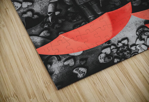 Amidst a sea of hearts Jorgo puzzle