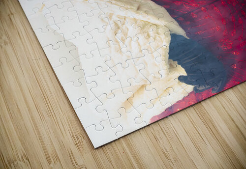 Modern masquerade beauty Jorgo puzzle