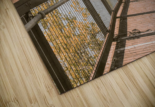 Bundaberg river walk Jorgo puzzle