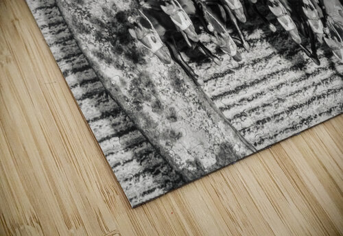 Racetacular Jorgo puzzle