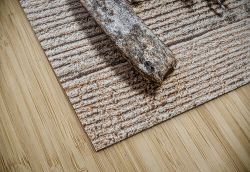 Horse play Jorgo puzzle