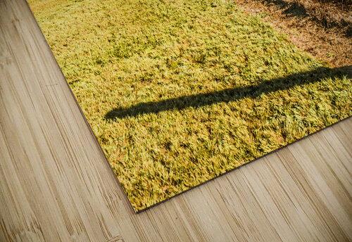 Farmland view Jorgo puzzle