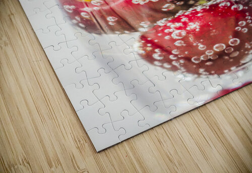 Cherrini Jorgo puzzle