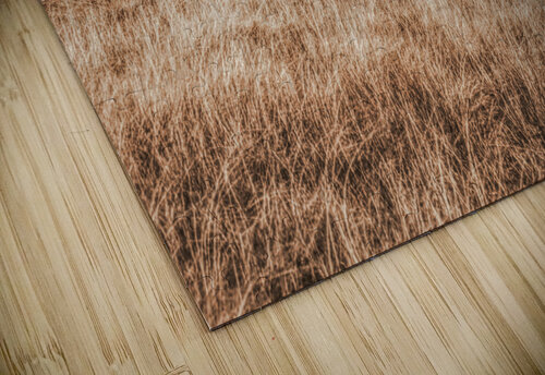 Expansive hills and rustic fencing Jorgo puzzle