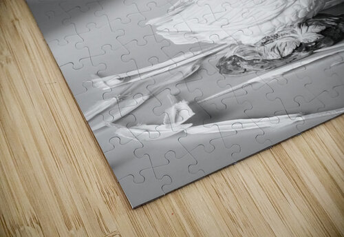 Obscured by floating feathers Jorgo puzzle