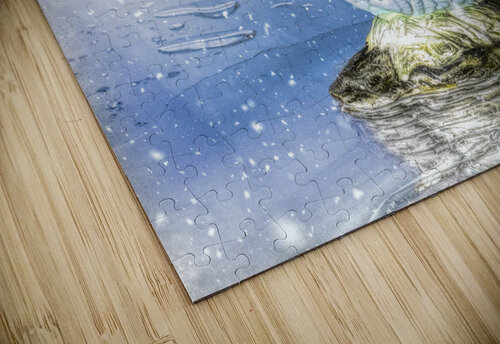 Snowy river swan Jorgo puzzle