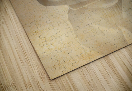 Radio Reproduction Jorgo puzzle