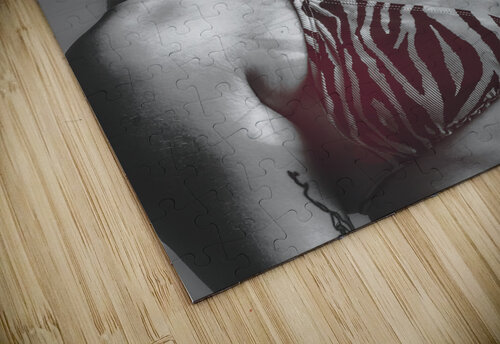 Hot Tropics Jorgo puzzle