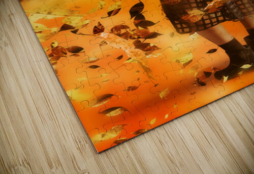 Explore The Fall Jorgo puzzle