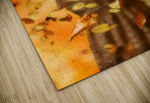 Autumn Dreams Jorgo puzzle