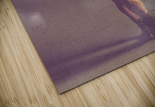 Shimmering Elegance Jorgo puzzle