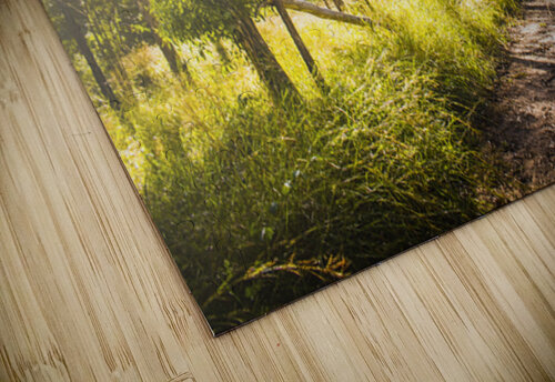 Nature Lovers Lane Jorgo puzzle