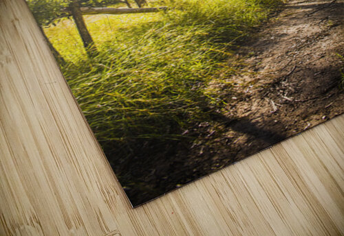 Wilderness Way Jorgo puzzle