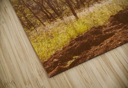 Misty Horizons Jorgo puzzle