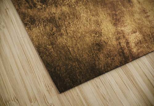 Autumn Wander Jorgo puzzle