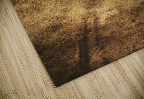 Through Fall Jorgo puzzle