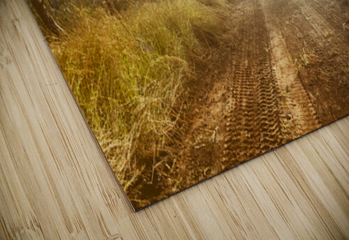 Bushland Backroad Jorgo puzzle