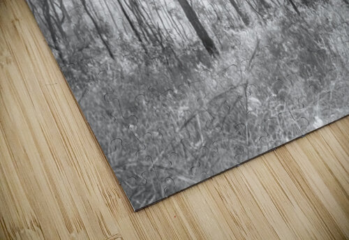 Inland Interplay Jorgo puzzle