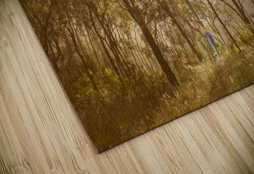 Sunflares And Foliage Jorgo puzzle