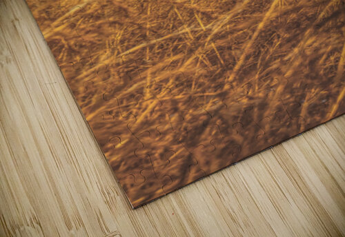 Wind And Fall Fields Jorgo puzzle