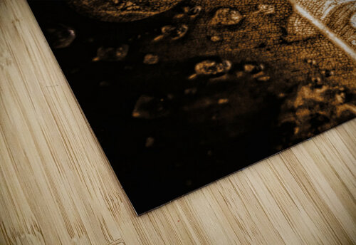 Fall In Rain Jorgo puzzle