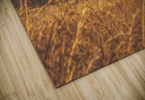 Wild Autumn Jorgo puzzle