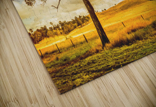 Gin Gin Golden Glow Jorgo puzzle