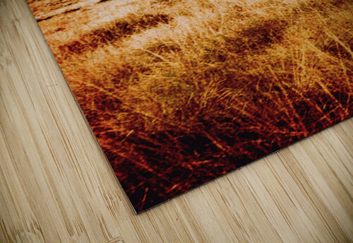 Weathered Farmstead  Jorgo puzzle