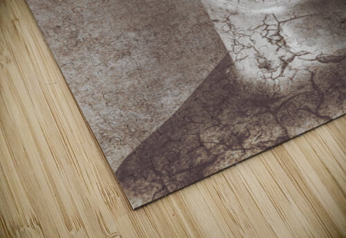 Beauty Never Fades Jorgo puzzle