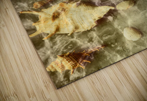 Surf Crazy Jorgo puzzle