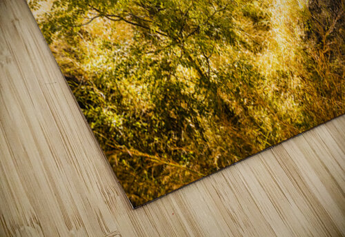 Valley Views Jorgo puzzle