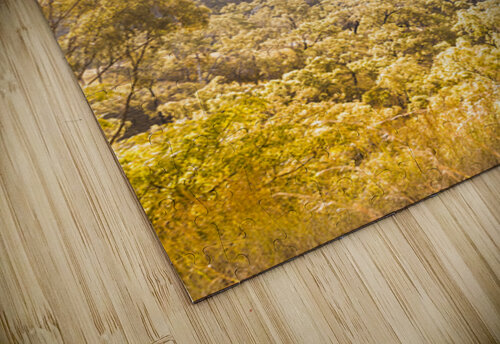 High Ground Jorgo puzzle