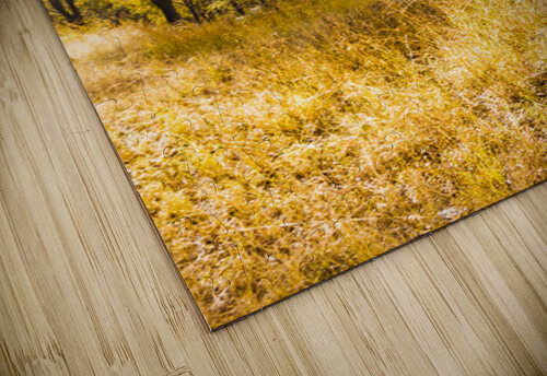 Queensland Country Jorgo puzzle