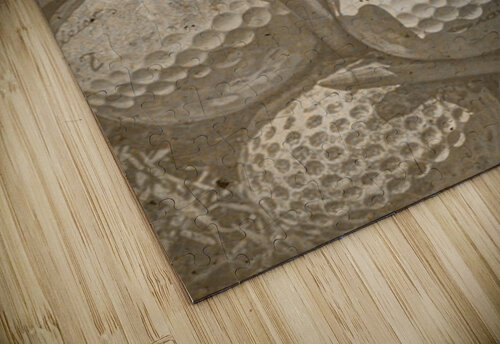 Rough Shot Jorgo puzzle