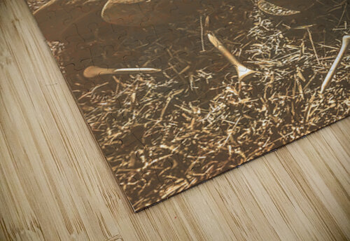 Past Game Memoirs Jorgo puzzle