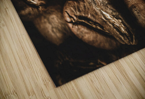 Visual Stimulation Jorgo puzzle