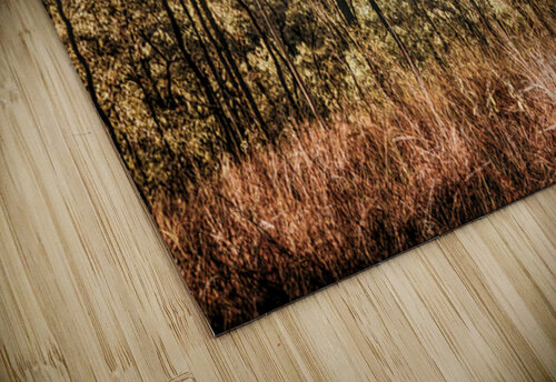 High Country Jorgo puzzle