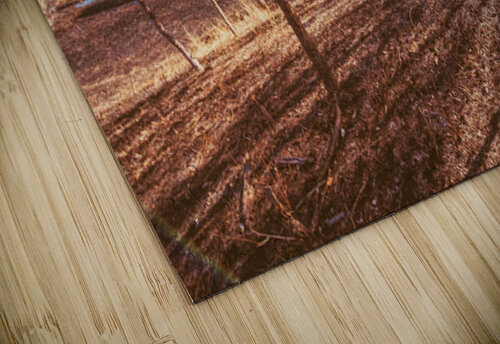 Road Outback Jorgo puzzle