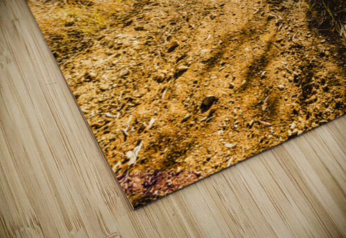 Rural Route Jorgo puzzle