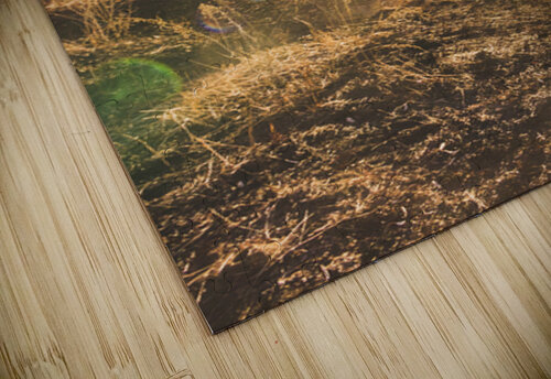 Sunflare Valley Views Jorgo puzzle