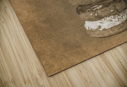 Dough Nutter Jorgo puzzle