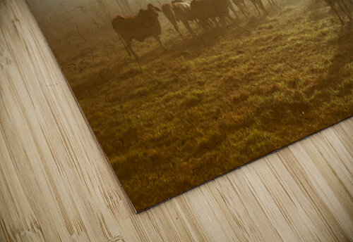 Foggy Farm Jorgo puzzle