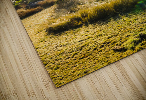 Valley Fogs Jorgo puzzle