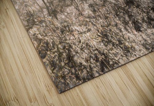 Harmonious Fades Jorgo puzzle