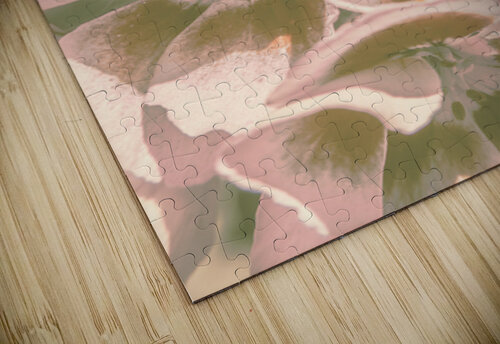 Geranium Wash Jorgo puzzle