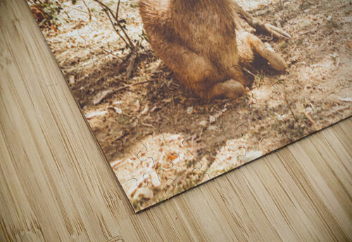 Forest Deer Jorgo puzzle