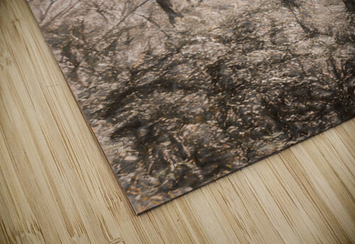 Calm Subtleties Jorgo puzzle